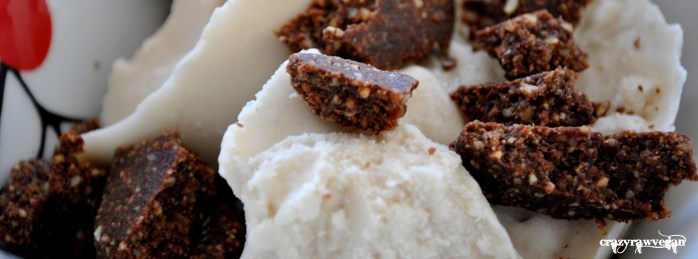 Vanilla Ice Cream and Chocolate Cookies