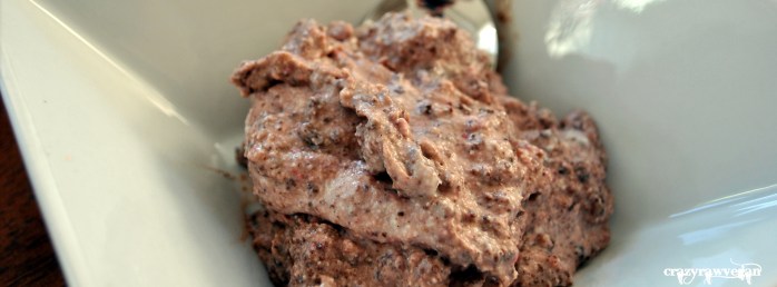 Raspberry & Brownie Ice Cream