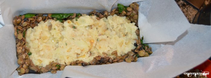 Mushroom and Lentil Loaf_3
